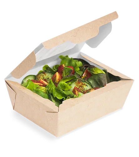 Eco Salat 600 Pencereli qab (500)